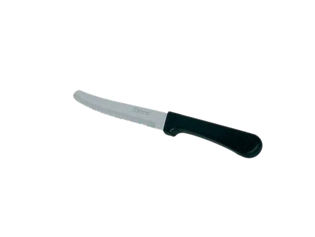 CARNIVAL STEAK  KNIFE